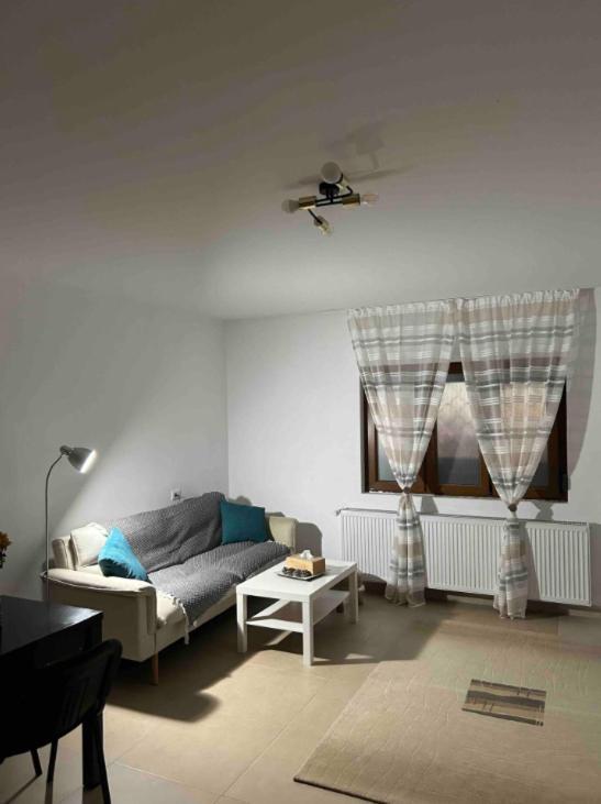 Apartament Bun Burger Temesvár Kültér fotó